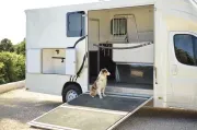 used Horse Trailers Ram  for sale, in Santa Barbara, CA Thumbnail 15