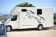 used Horse Trailers Ram  for sale, in Santa Barbara, CA Thumbnail 10