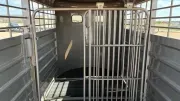 new Stock / Stock Combo Trailers GR Trailers  for sale, in Seminole, TX Thumbnail 6