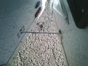 new Cargo (Enclosed) Trailers Cargo Mate  for sale, in Olympia, WA Thumbnail 9