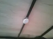 new Cargo (Enclosed) Trailers Cargo Mate  for sale, in Olympia, WA Thumbnail 12