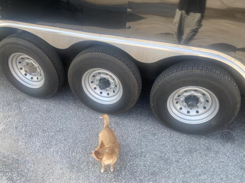 new Cargo (Enclosed) Trailers Freedom Trailers  for sale, in Memphis, TN Thumbnail 9