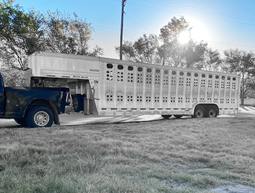 2022 28' EBY Punch Side Stock Trailer 2022 28' EBY Punch Side Stock Trailer