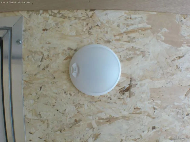 new Cargo (Enclosed) Trailers American Hauler  for sale, in Middlebury, IN Thumbnail 10