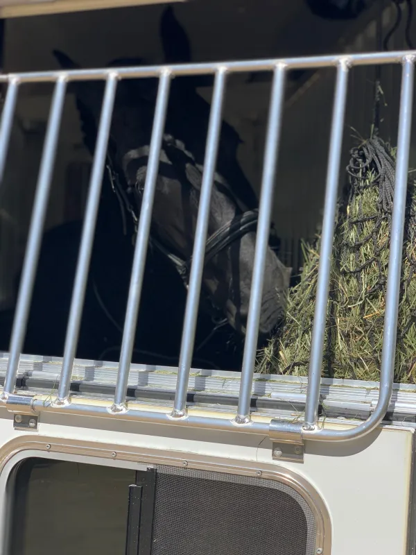 used Horse Trailers Four Star  for sale, in Agoura Hills, CA Thumbnail 29