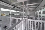 new Horse Trailers Sundowner Trailers  for sale, in Seguin, TX Thumbnail 166