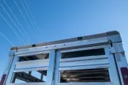 new Stock / Stock Combo Trailers EBY  for sale, in Seguin, TX Thumbnail 15