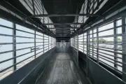 new Stock / Stock Combo Trailers Calico Trailers  for sale, in Seguin, TX Thumbnail 14