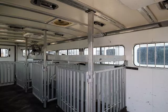 used Horse Trailers Cimarron Trailers  for sale, in Seguin, TX Thumbnail 14