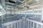 new Horse Trailers Sundowner Trailers  for sale, in Seguin, TX Thumbnail 12