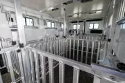 new Horse Trailers Cimarron Trailers  for sale, in Seguin, TX Thumbnail 5