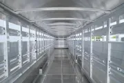 new Stock / Stock Combo Trailers Elite Trailers  for sale, in Seguin, TX Thumbnail 14