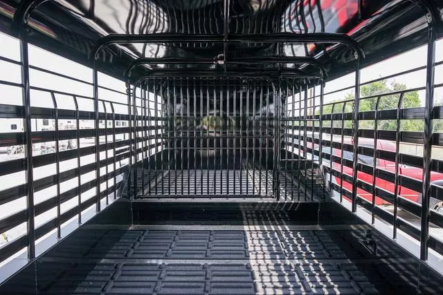 new Stock / Stock Combo Trailers Gooseneck  for sale, in Seguin, TX Thumbnail 9