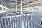 new Horse Trailers Sundowner Trailers  for sale, in Seguin, TX Thumbnail 175