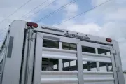 new Stock / Stock Combo Trailers Elite Trailers  for sale, in Seguin, TX Thumbnail 21