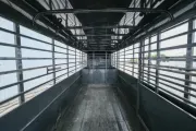 new Stock / Stock Combo Trailers Calico Trailers  for sale, in Seguin, TX Thumbnail 13