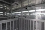 new Horse Trailers Sundowner Trailers  for sale, in Seguin, TX Thumbnail 113
