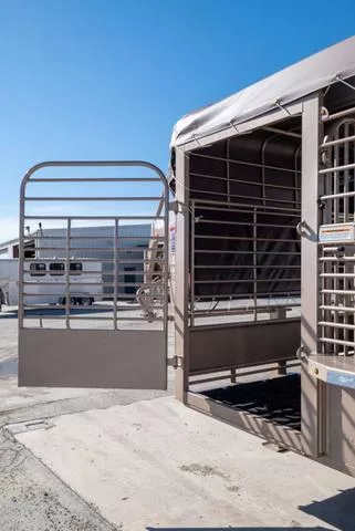 new Stock / Stock Combo Trailers Gooseneck  for sale, in Seguin, TX Thumbnail 7