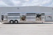 new Horse Trailers Elite Trailers  for sale, in Seguin, TX Thumbnail 2