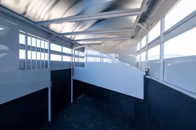 new Horse Trailers Trails West  for sale, in Seguin, TX Thumbnail 13