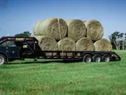 new Other Trailers Other  for sale, in Emory, TX Thumbnail 2