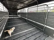 new Stock / Stock Combo Trailers Gooseneck  for sale, in Saint James, MO Thumbnail 10