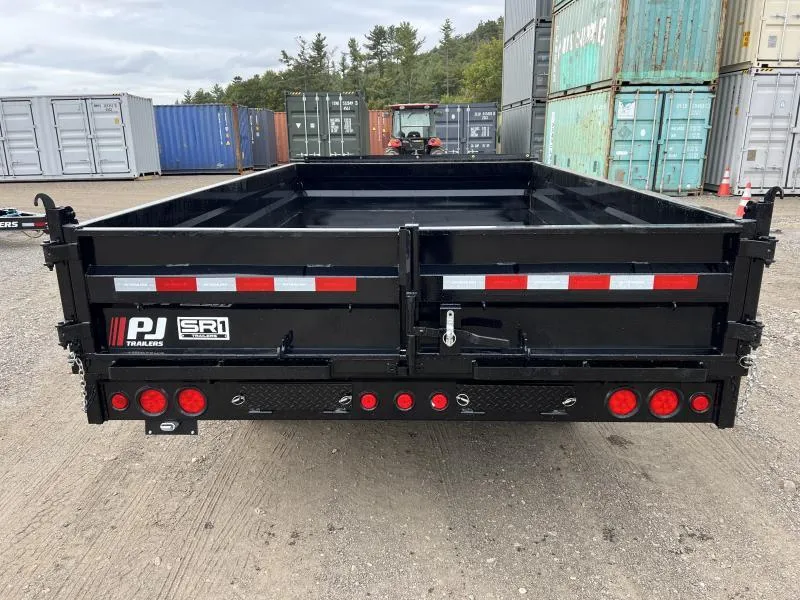 2025 PJ