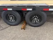 new Equipment / Flatbed Trailers Big Tex Trailers  for sale, in Circleville, OH Thumbnail 4