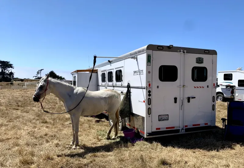 2013 Trails West