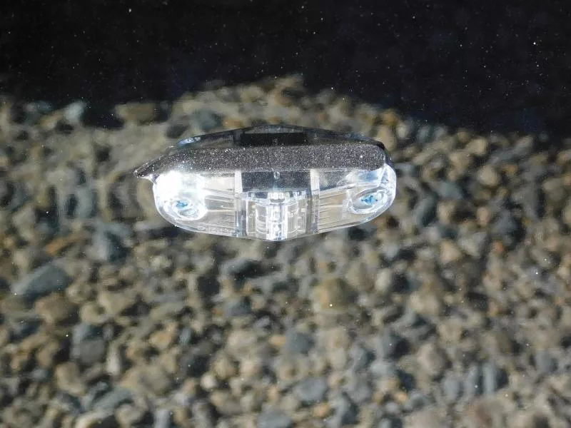 new Cargo (Enclosed) Trailers Covered Wagon Trailers  for sale, in Hope Mills, NC Thumbnail 5