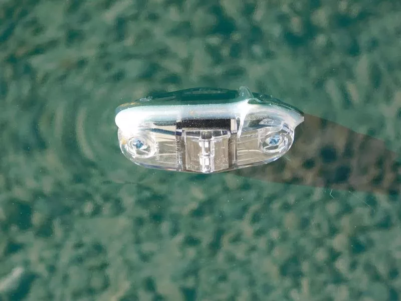 new Cargo (Enclosed) Trailers Covered Wagon Trailers  for sale, in Hope Mills, NC Thumbnail 5