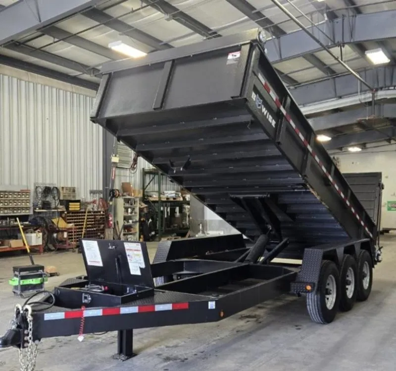 2025 BWISE