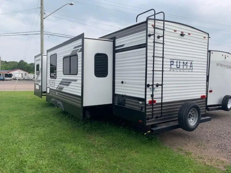 2023 Palomino