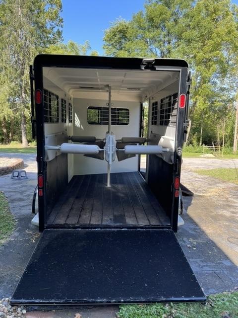 2018 Hawk Classic Elite Warmblood 2018 Hawk Classic Elite Warmblood