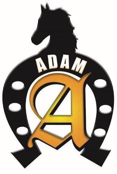 2017 Adam 2 Horse Slant Trailer 2017 Adam 2 Horse Slant Trailer