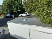 used Car Haulers / Racing Trailers ATC  for sale, in Manteca, CA Thumbnail 12