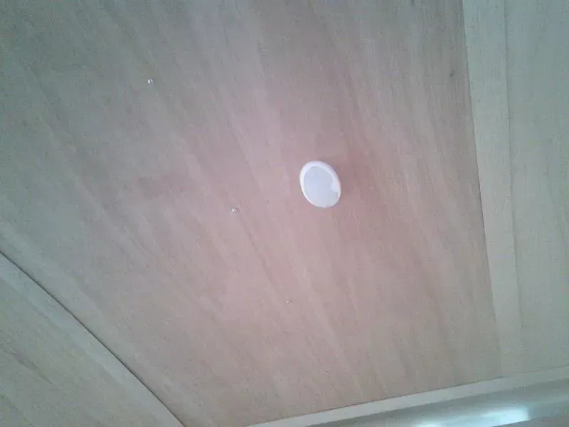 new Cargo (Enclosed) Trailers Cargo Mate  for sale, in Olympia, WA Thumbnail 12