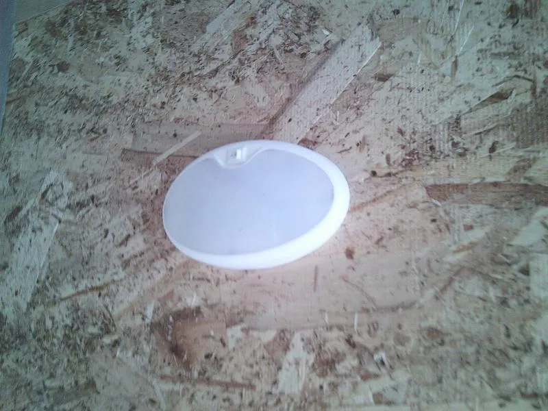 new Cargo (Enclosed) Trailers Cargo Mate  for sale, in Olympia, WA Thumbnail 17