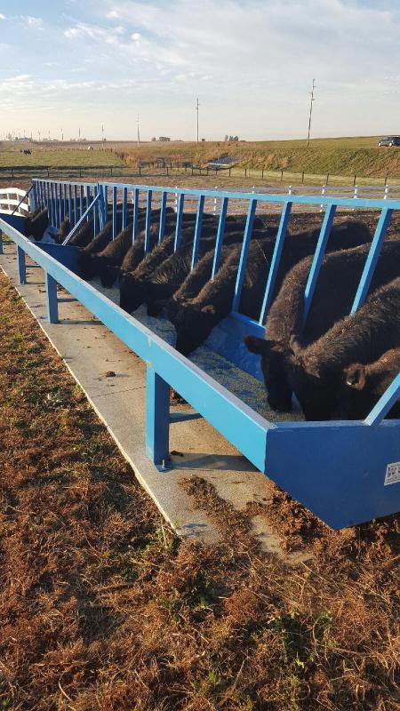 Feed Bunks Feed Bunks