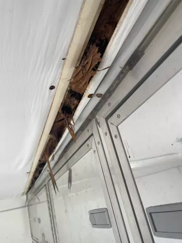 used Cargo (Enclosed) Trailers Haulmark  for sale, in Vero Beach, FL Thumbnail 360