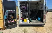 used Horse Trailers Bison Trailers  for sale, in Junction City, KS Thumbnail 2