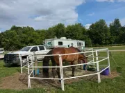 used Horse Trailers 4-Star Trailers  for sale, in Redmond, OR Thumbnail 2