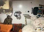 used Other Trailers Freightliner  for sale, in Omaha, NE Thumbnail 18