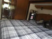 used Other Trailers Safari  for sale, in Omaha, NE Thumbnail 8