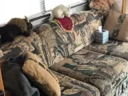 used Other Trailers Safari  for sale, in Omaha, NE Thumbnail 9