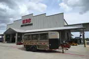 2027 HORIZON TRAILERS 16' X 6'8" LIVESTOCK TRAILER 