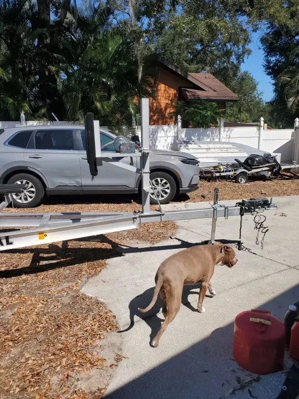 new Watercraft Trailers Continental Trailers  for sale, in Valrico, FL Thumbnail 3