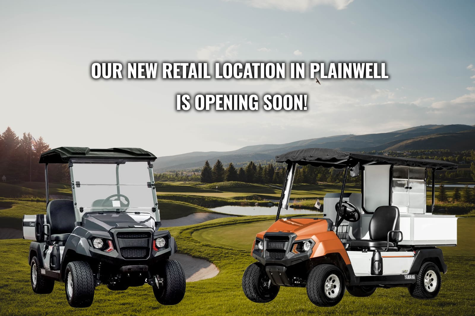 Home Golf Cars Plus Plainwell, MI Dealership We Sell 2 Passenger
