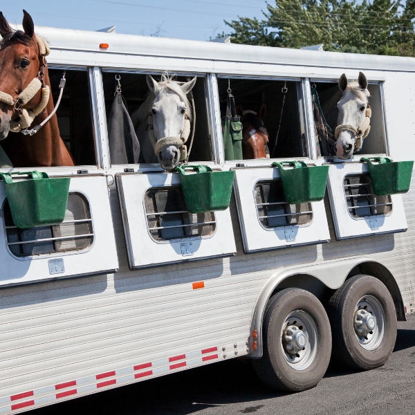 Enclosed Trailer Flooring Ideas &amp; Best Materials | High Desert 
