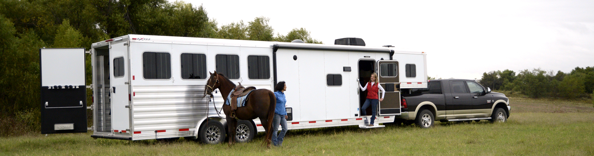 Living Quarter Horse Trailer Classifieds